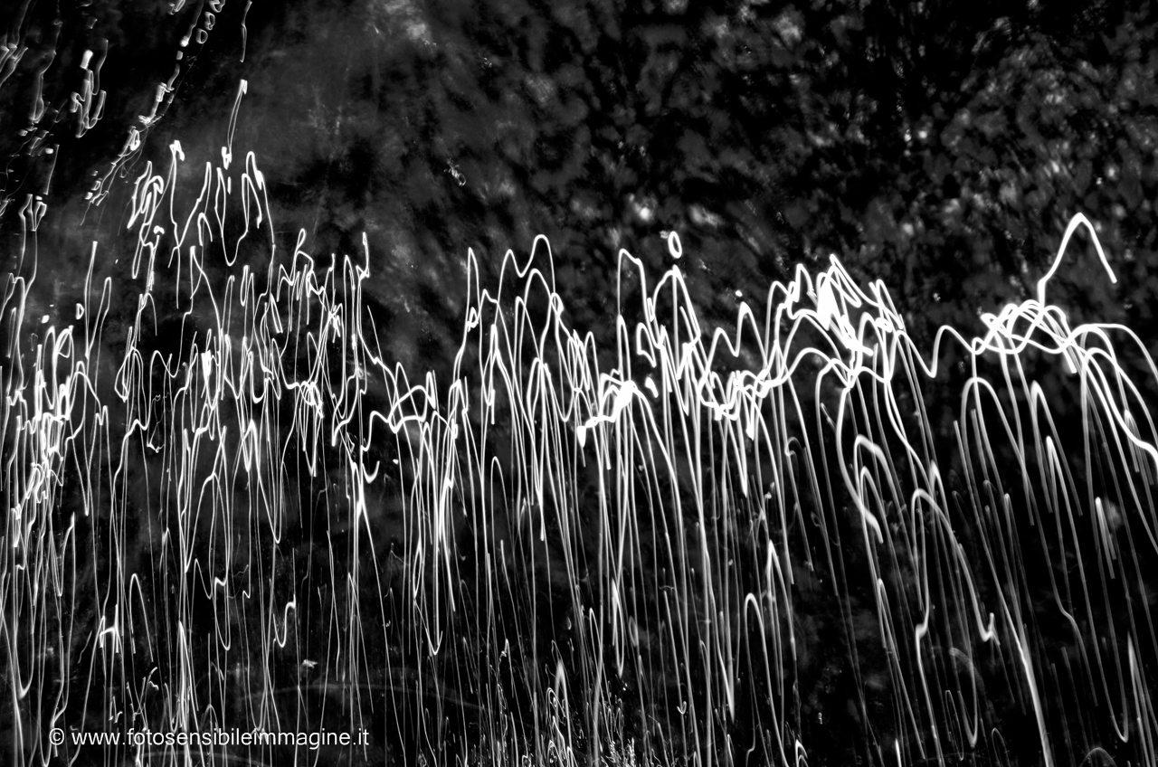Selva di luce